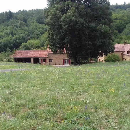 Maison Perigourdine Avec Jardin, A 5 Km De Sarlat, 2 Chambres, Equipements Bebe, Animaux Acceptes - Fr-1-616-58 Holiday home