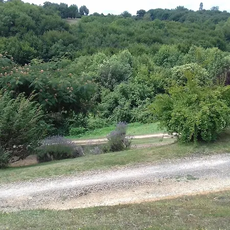 Feriehus Maison Avec Jardin Pres De Sarlat, Animaux Admis - Fr-1-616-58